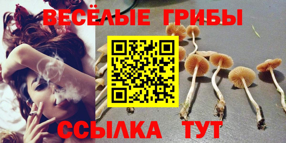 Галлюциногенные грибы Cubensis Красный Сулин